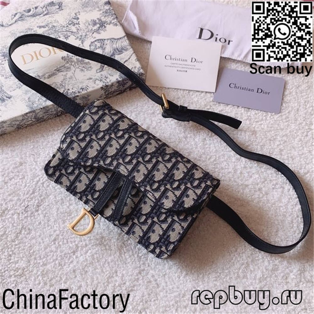 Dior labing bili sa pagpalit sa 12 replica bags (2022 updated)-Best Quality Fake Louis Vuitton Bag Online Store, Replica designer bag ru