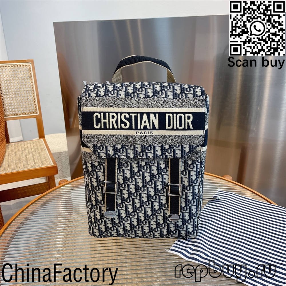 Dior labing bili sa pagpalit sa 12 replica bags (2022 updated)-Best Quality Fake Louis Vuitton Bag Online Store, Replica designer bag ru