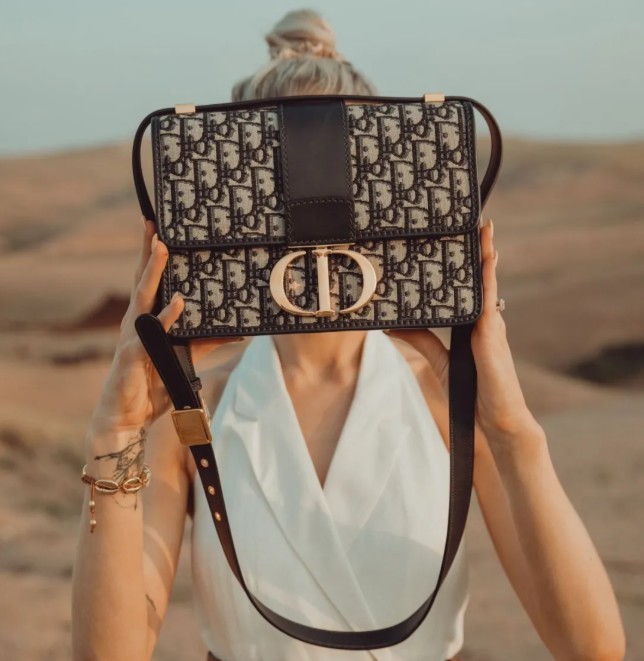 Awọn baagi ajọra ti o niyelori 16 ti o ga julọ lati ra (Akanse 2022) - Didara ti o dara julọ Fake Louis Vuitton Bag Online itaja, Apẹrẹ ajọra apo ru