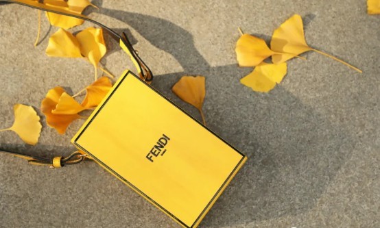 Сатып алуу үчүн мыкты Fendi реплика сумкаларынын бири: Пакет (2022-жылы жаңыланган) - Эң мыкты сапаттагы жасалма Louis Vuitton сумкасынын интернет дүкөнү, Replica дизайнер сумкасы ru