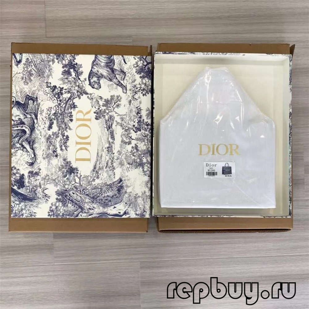 Dior Book Tote top replica matumba akulu ndi ang'onoang'ono kuyerekeza (2022 Zaposachedwa)-Best Quality Fake Louis Vuitton Bag Online Store, Replica designer bag ru