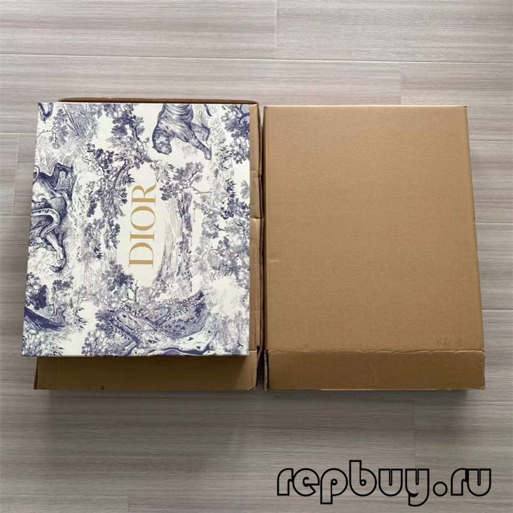 Dior Book Tote top replica saccos magna et parva comparatio (2022 Latest) -Best Quality Fake Louis Vuitton Bag Online Store, Replica designer bag ru