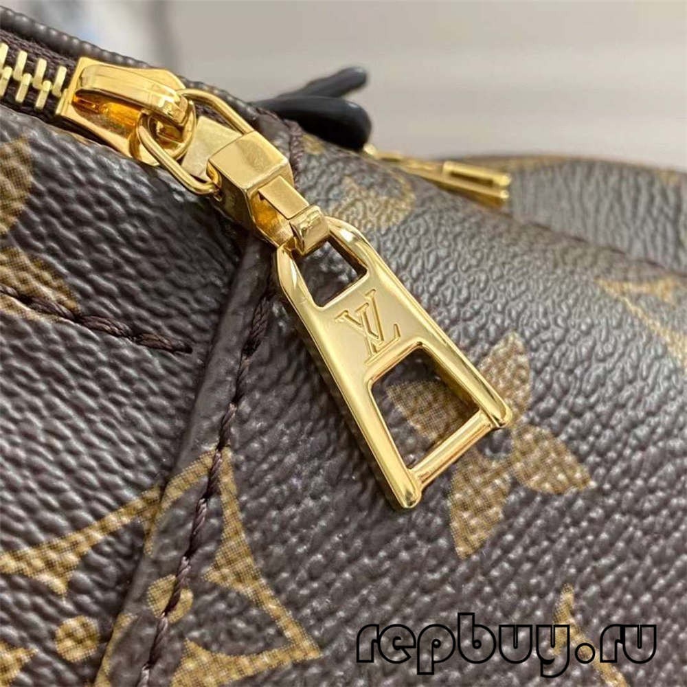 Louis Vuitton M44873 Palm Spring 23cm Shoulder Backpack Top Replica Bags Details (2022 Updated)-Best Quality Fake Louis Vuitton Bag Online Store, Replica designer bag ru