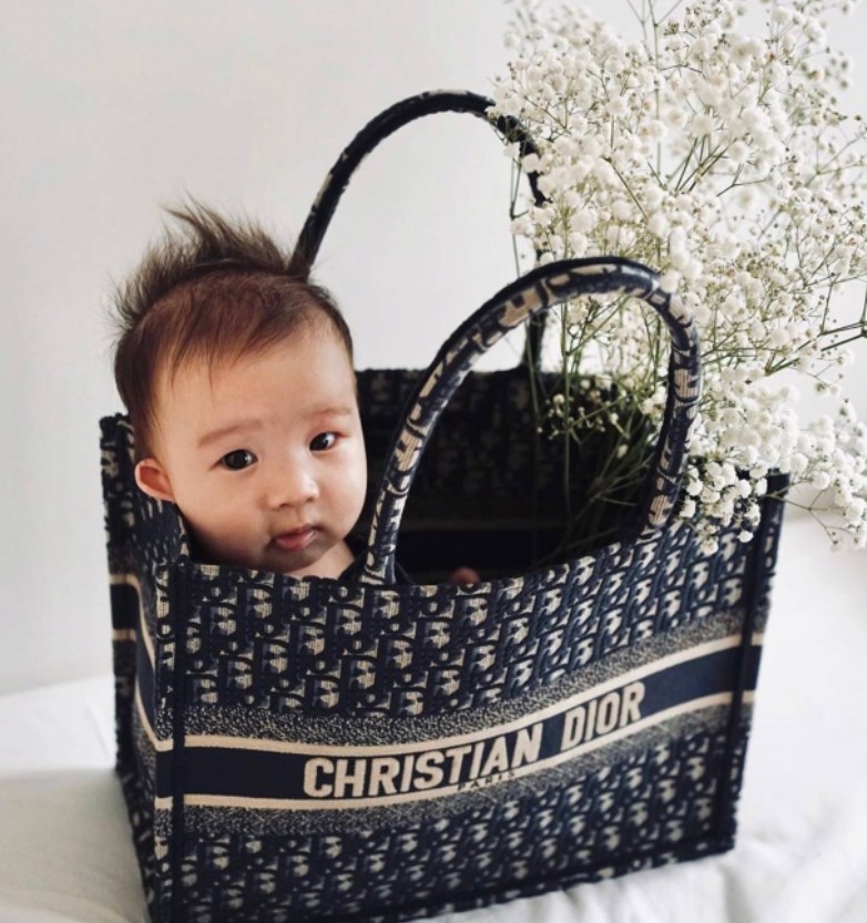 Ang pinakakomprehensibong Dior Book Tote na pagpapakilala at mga replica na bag sa pagbili ng payo (2022 update)-Best Quality Fake Louis Vuitton Bag Online Store, Replica designer bag ru