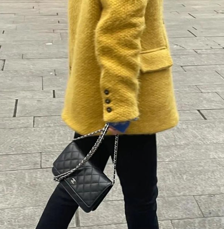 Cuir véritable? Sac Chanel réplique de qualité supérieure WOC, incroyable 99 $? (dernier 2022) -Boutique en ligne de faux sac Louis Vuitton de la meilleure qualité, réplique de sac de designer ru