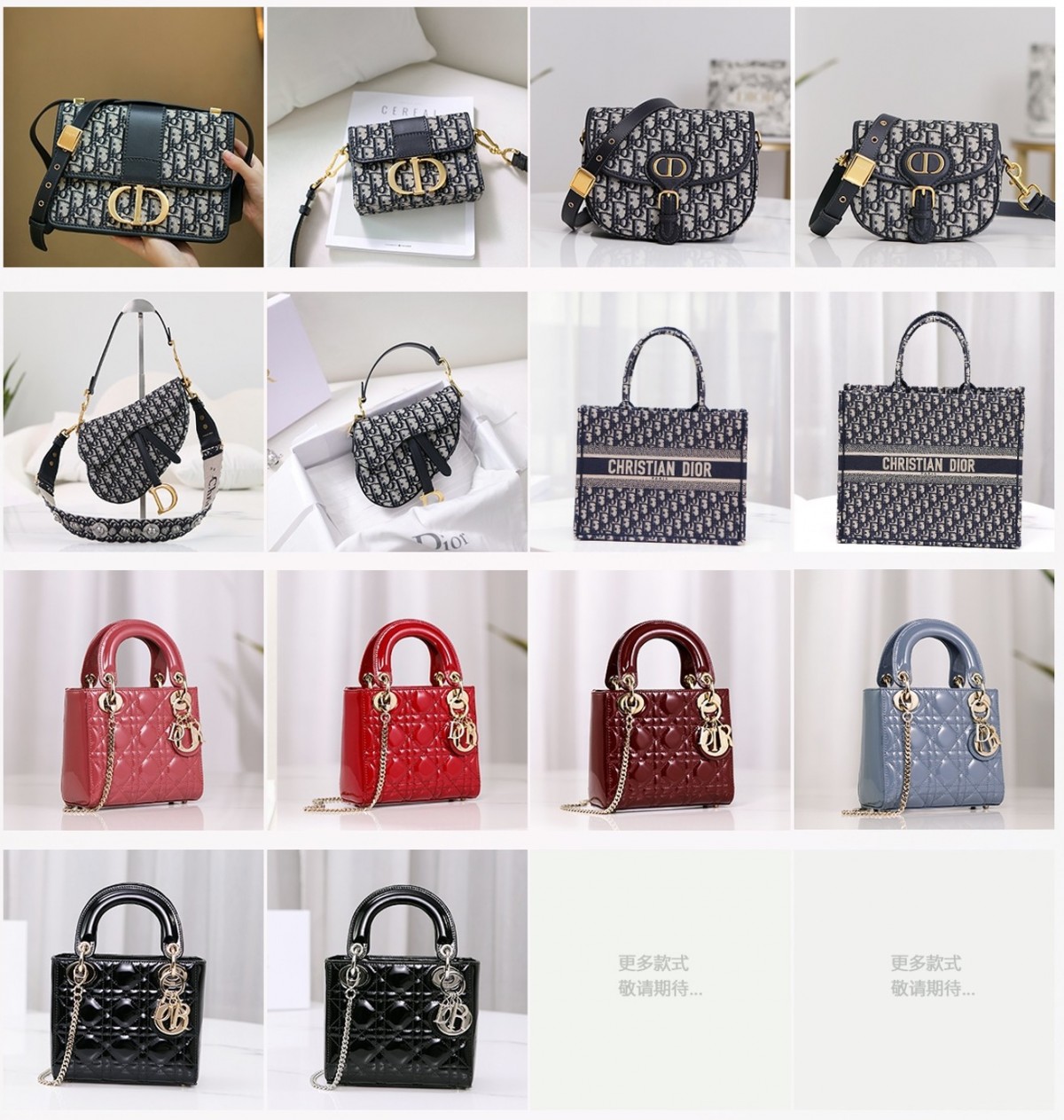 Shebag best seller——Dior best quality replica bags（2022 updated）-Best Quality Fake Louis Vuitton Bag Online Store, Replica designer bag ru