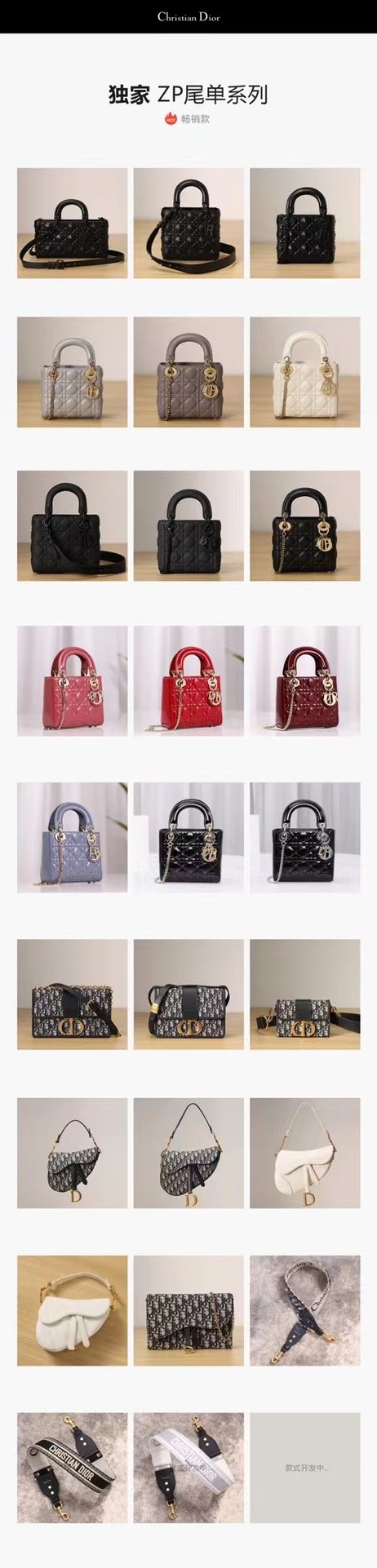 Shebag 베스트 셀러 ——Dior 최고 품질의 레플리카 가방(2022 업데이트됨)-Best Quality Fake Louis Vuitton Bag Online Store, Replica Designer bag ru