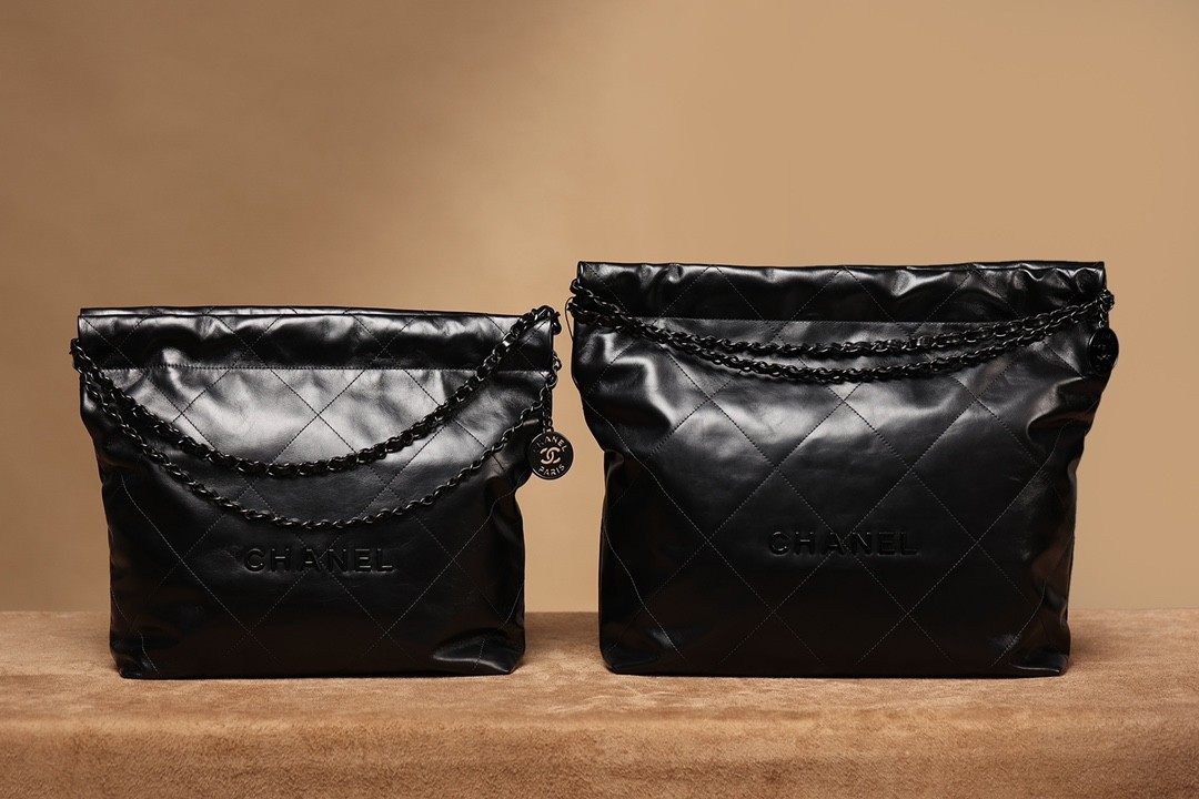 How good quality is a Shebag Chanel 22 bag？（2023 Week 41）-Καλύτερης ποιότητας Fake Louis Vuitton Ηλεκτρονικό κατάστημα, Replica designer bag ru