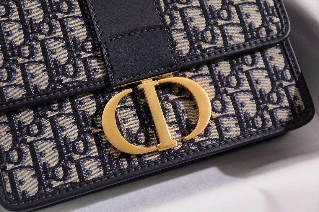 How good quality is a Shebag Dior Saddle bag and Montaigne 30 bag? (2023 Week 42)-Labing Maayo nga Kalidad nga Peke nga Louis Vuitton Bag Online Store, Replica designer bag ru