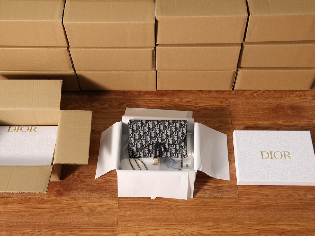 How good quality is a Shebag replica Dior saddle WOC bag? (2023 Updated)-Beste Kwaliteit Vals Louis Vuitton Sak Aanlyn Winkel, Replika ontwerper sak ru