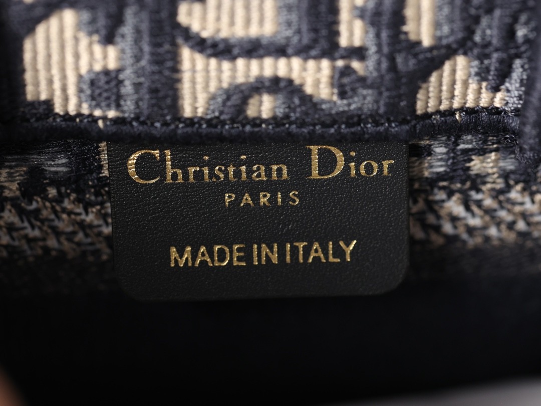 Shebag New Replica Dior Book tote with strap (2023 Week 50)-Online obchod s falošnou taškou Louis Vuitton najvyššej kvality, replika značkovej tašky ru