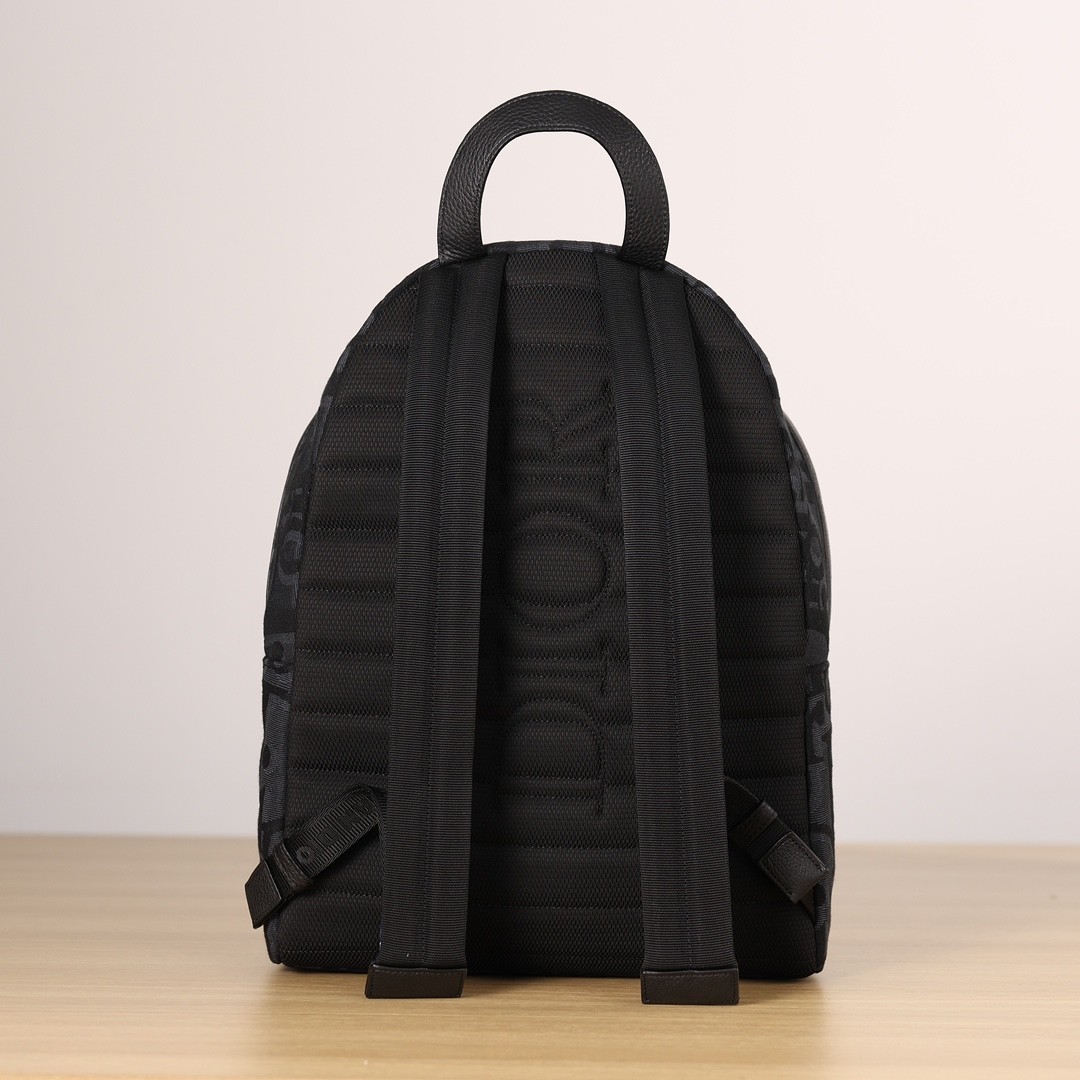 Shebag 2024 new replica: Dior RIDER backpack (2024 Week 2)-Bästa kvalitet Fake Louis Vuitton Bag Online Store, Replica designer bag ru