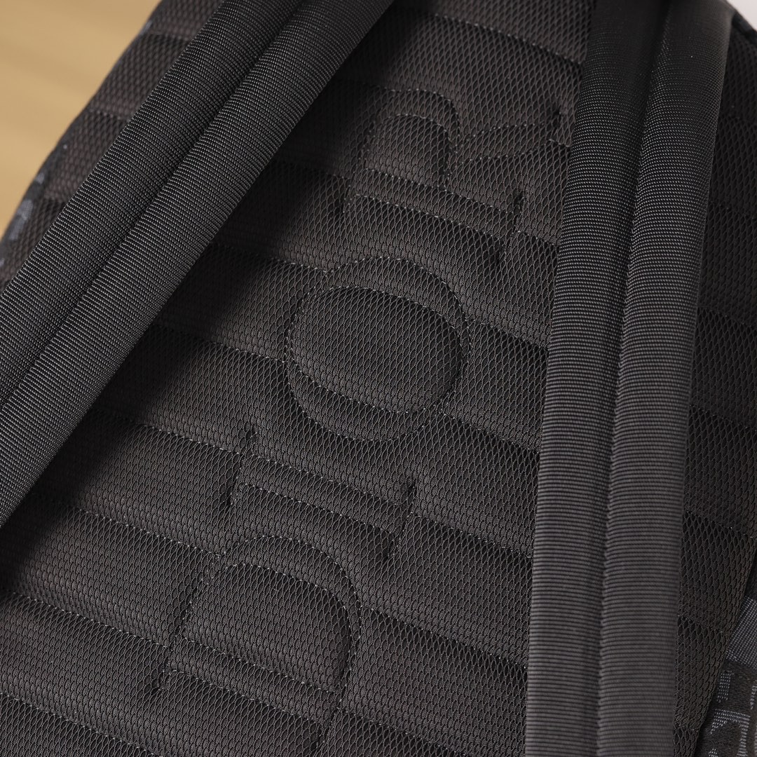 Shebag 2024 new replica: Dior RIDER backpack (2024 Week 2)-Negozio in linea della borsa falsa di Louis Vuitton di migliore qualità, borsa del progettista della replica ru