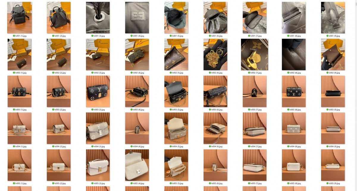 500+ Louis Vuitton bags with video added to Shebag website！（2024 Week 3）-Negozio in linea della borsa falsa di Louis Vuitton di migliore qualità, borsa del progettista della replica ru