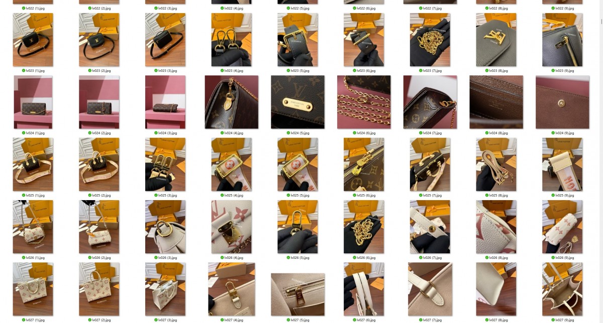 500+ Louis Vuitton bags with video added to Shebag website！（2024 Week 3）-Negozio in linea della borsa falsa di Louis Vuitton di migliore qualità, borsa del progettista della replica ru