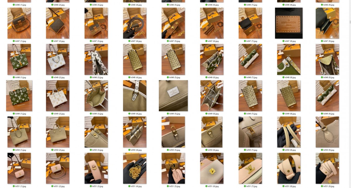 500+ Louis Vuitton bags with video added to Shebag website！（2024 Week 3）-Loja online de bolsa Louis Vuitton falsa de melhor qualidade, bolsa de designer de réplica ru