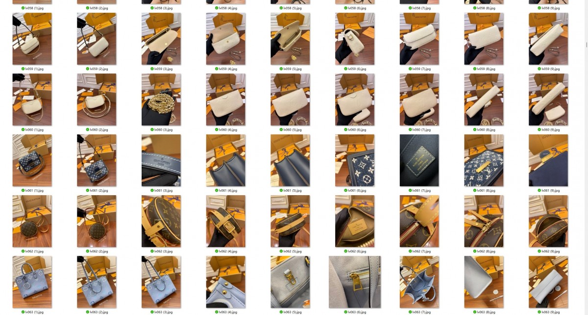 500+ Louis Vuitton bags with video added to Shebag website！（2024 Week 3）-Ti o dara ju Didara iro Louis Vuitton apo Online itaja, Ajọra onise apo ru