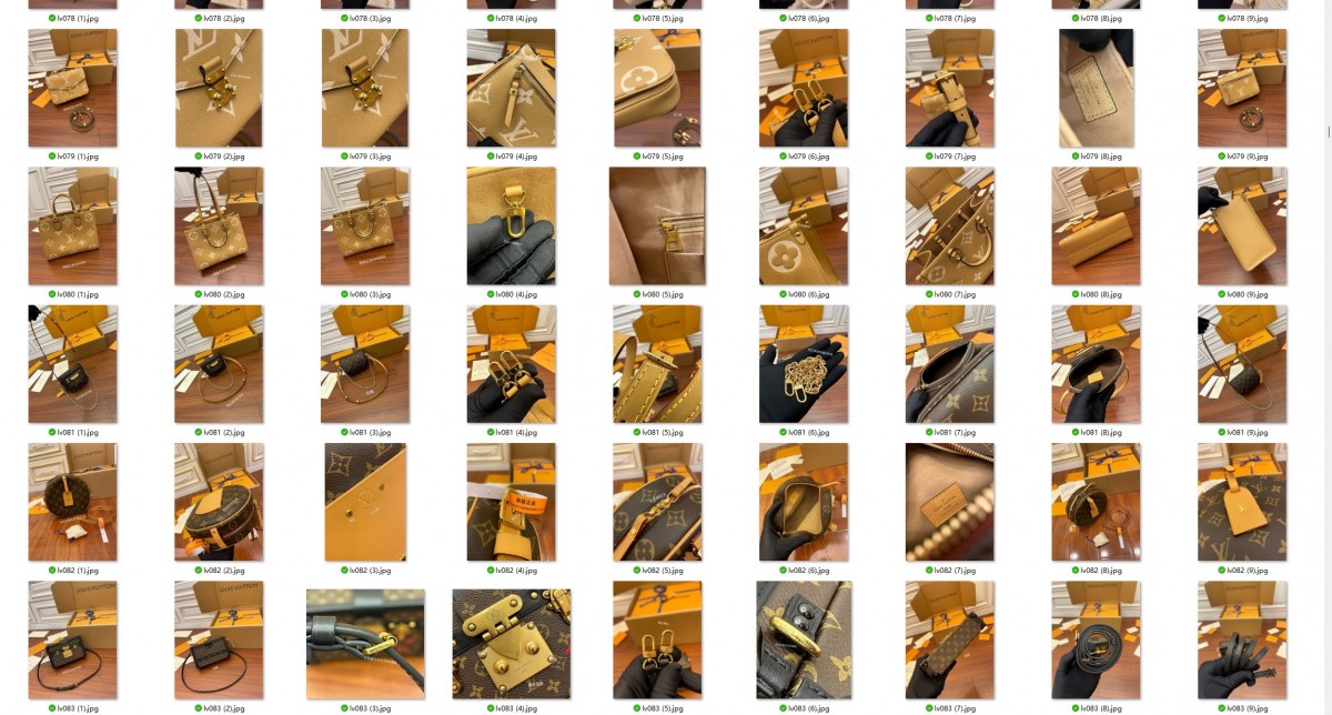 500+ Louis Vuitton bags with video added to Shebag website！（2024 Week 3）-Bescht Qualitéit Fake Louis Vuitton Bag Online Store, Replica Designer Bag ru
