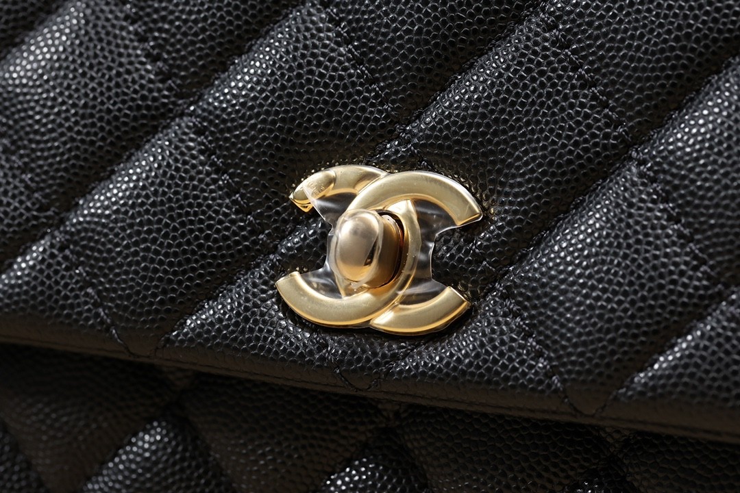 How great quality is a Shebag Chanel Coco Handle bag? (2024 Week 7)-Magazin online de geanți Louis Vuitton fals de cea mai bună calitate, geantă de designer replica ru