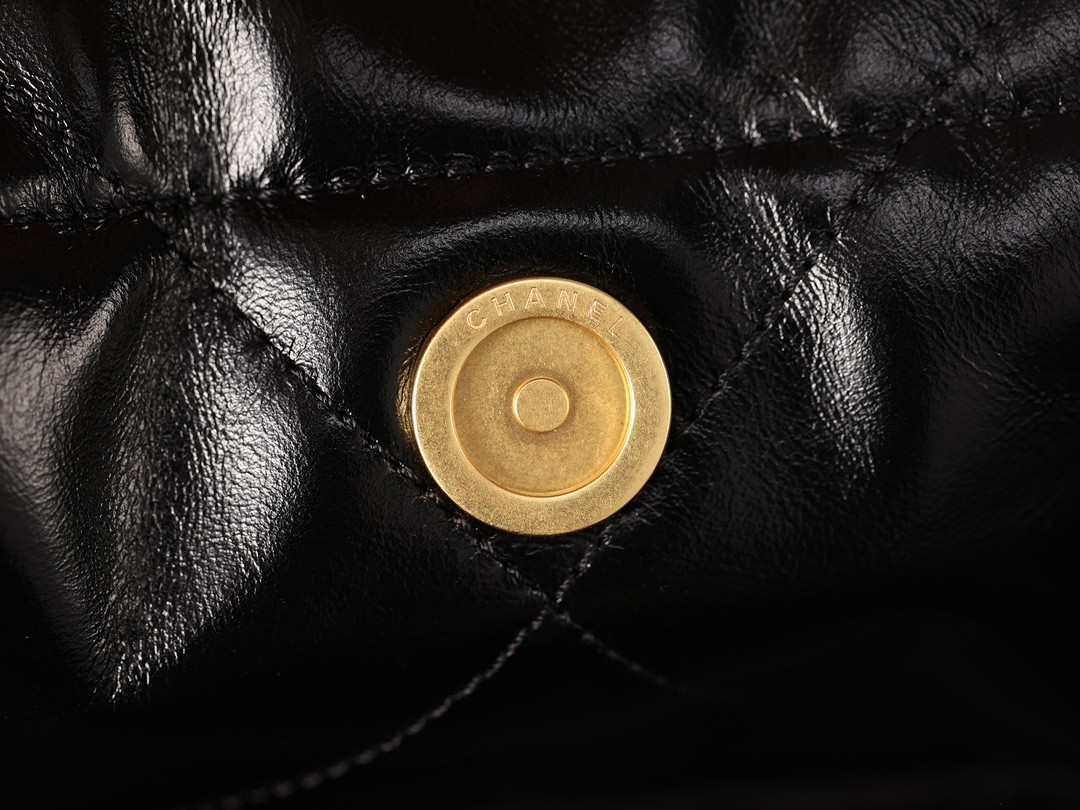 Horizontal Chanel 22 bag, Shebag made it! (2024 Week 9)-Best Quality Fake designer Bag Review, Replica designer bag ru