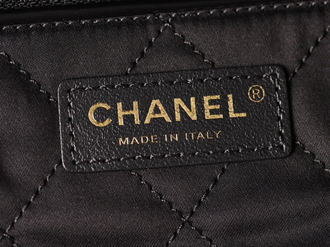 Horizontal Chanel 22 bag, Shebag made it! (2024 Week 9)-Labing Maayo nga Kalidad nga Peke nga Louis Vuitton Bag Online Store, Replica designer bag ru