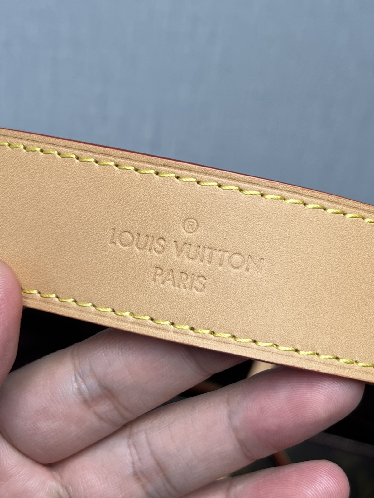 Shebag Louis Vuitton Carry all small M46203 collection（2024 Aug updated）-Online obchod s falošnou taškou Louis Vuitton najvyššej kvality, replika značkovej tašky ru