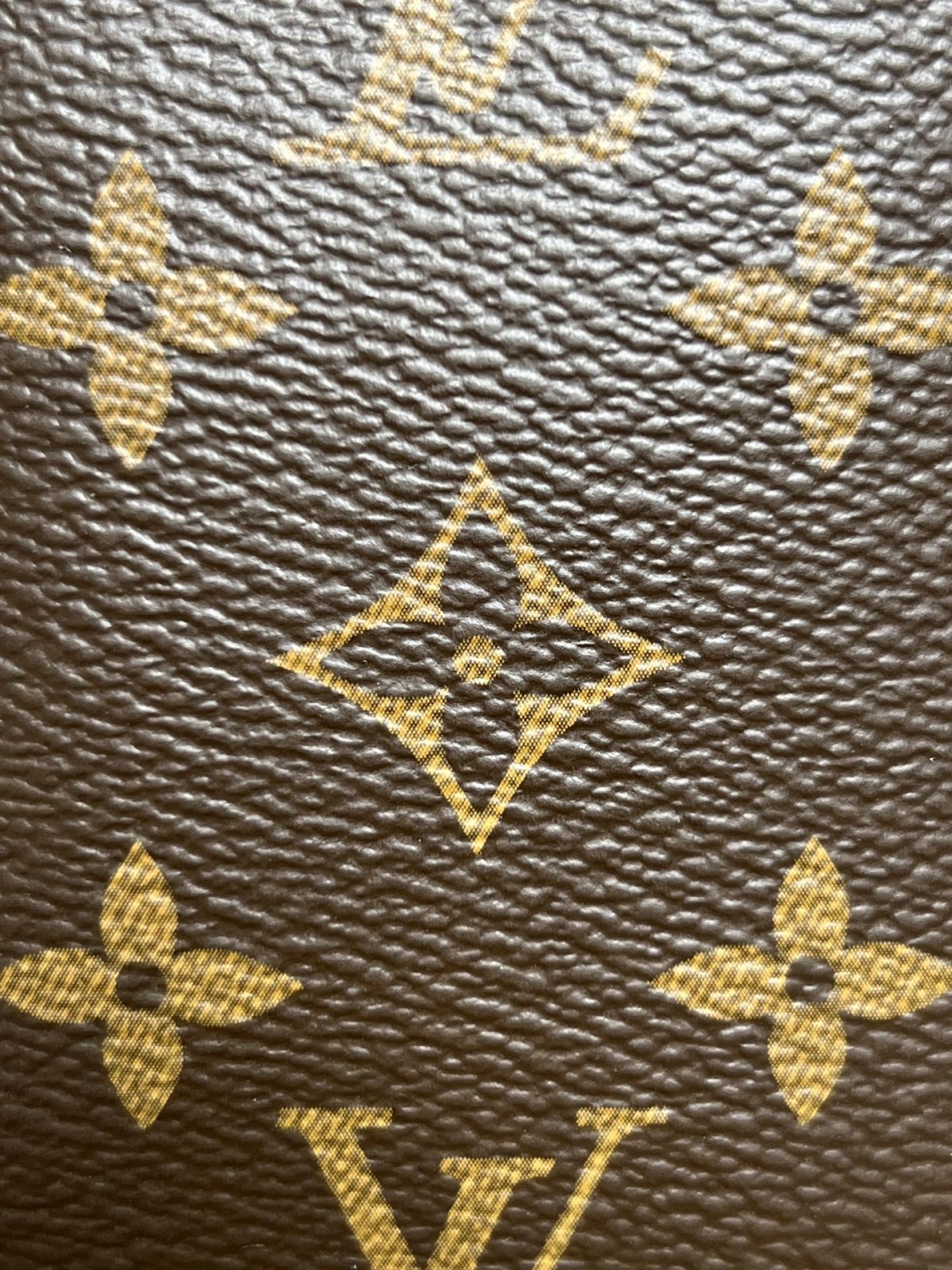 Shebag Louis Vuitton Carry all small M46203 collection（2024 Aug updated）-Negozio in linea della borsa falsa di Louis Vuitton di migliore qualità, borsa del progettista della replica ru