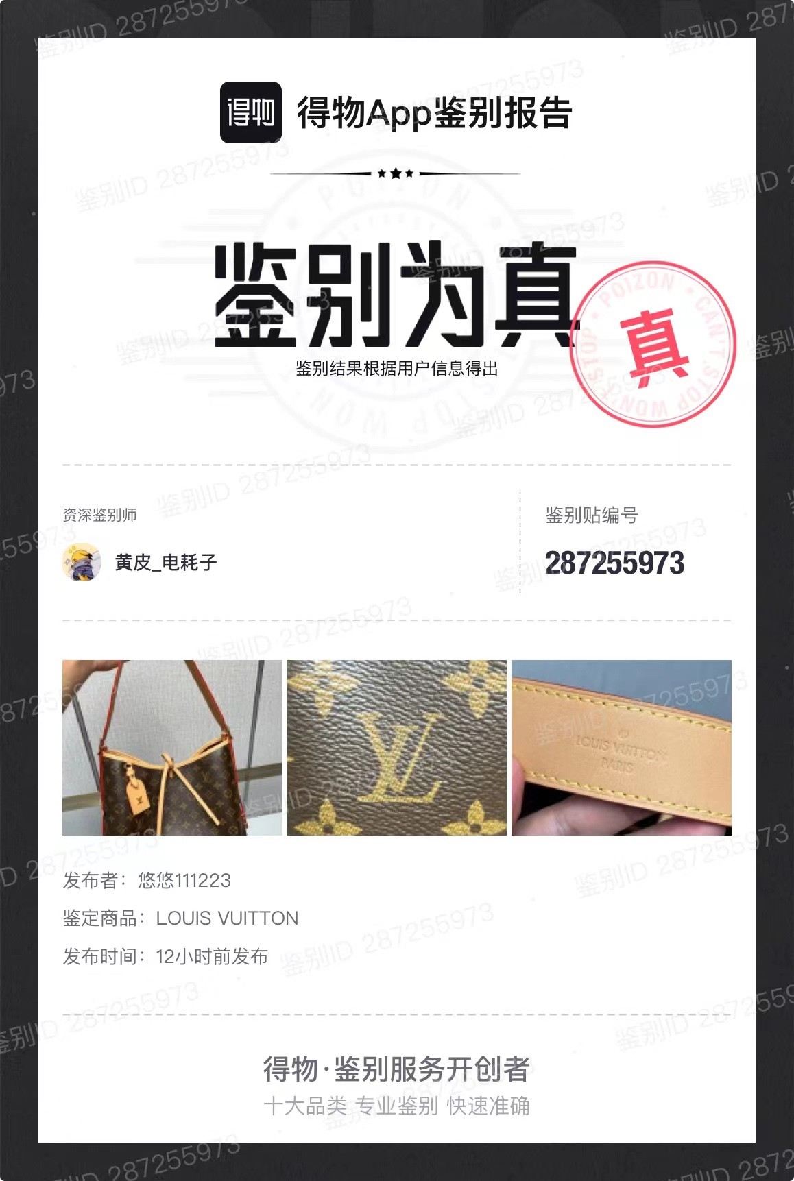 Shebag Louis Vuitton Carry all small M46203 collection（2024 Aug updated）-Negozio in linea della borsa falsa di Louis Vuitton di migliore qualità, borsa del progettista della replica ru