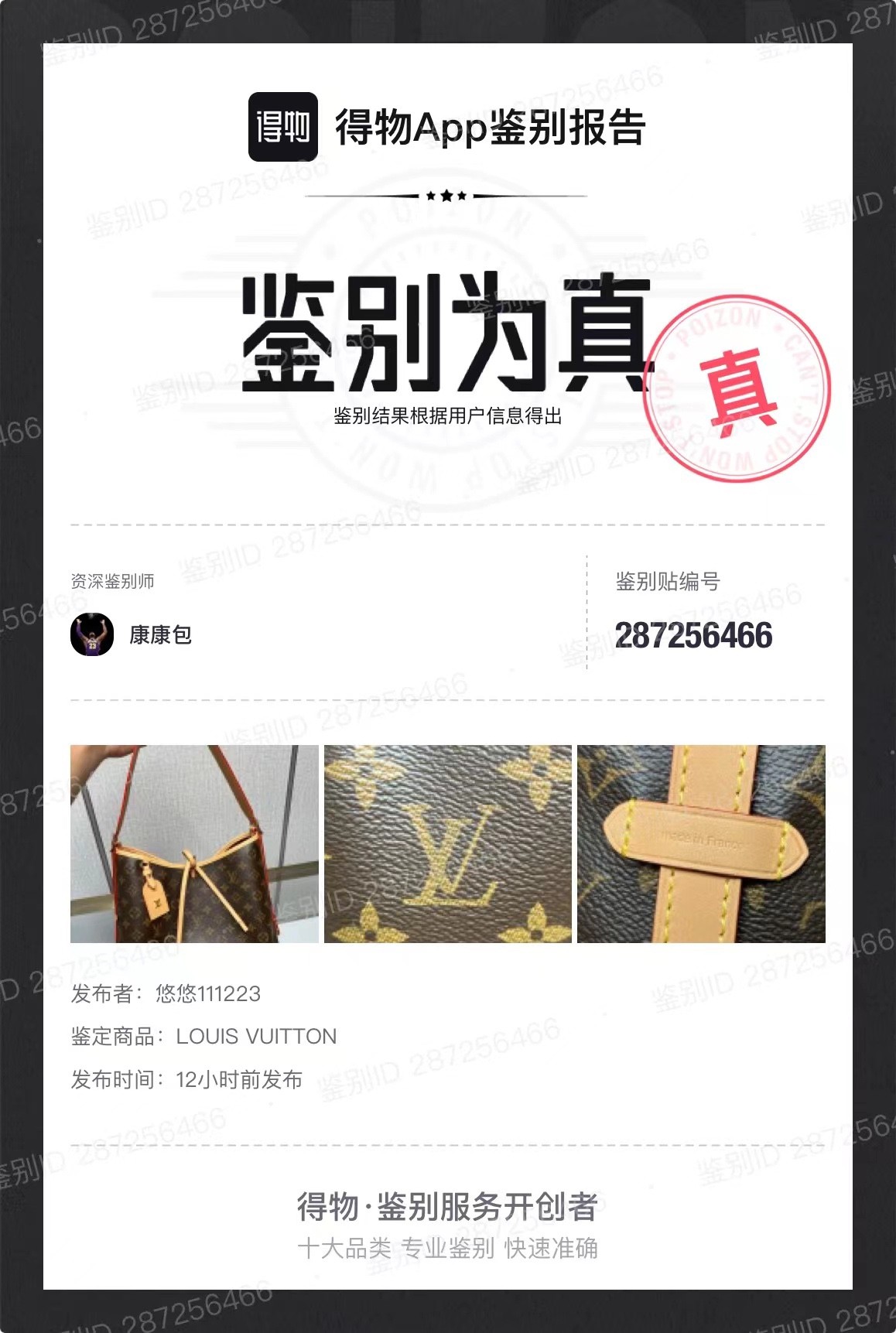 Shebag Louis Vuitton Carry all small M46203 collection（2024 Aug updated）-Legjobb minőségű hamis Louis Vuitton táska online áruház, replika designer táska ru