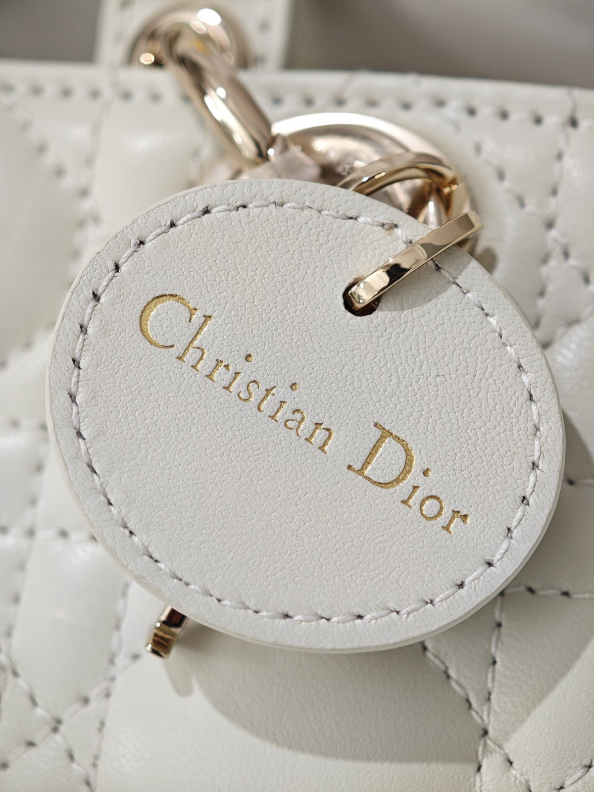 Shebag Lady Dior D joy bag full review（2024 Aug updated）-Шилдэг чанарын хуурамч Louis Vuitton цүнх онлайн дэлгүүр, Replica дизайнер цүнх ru