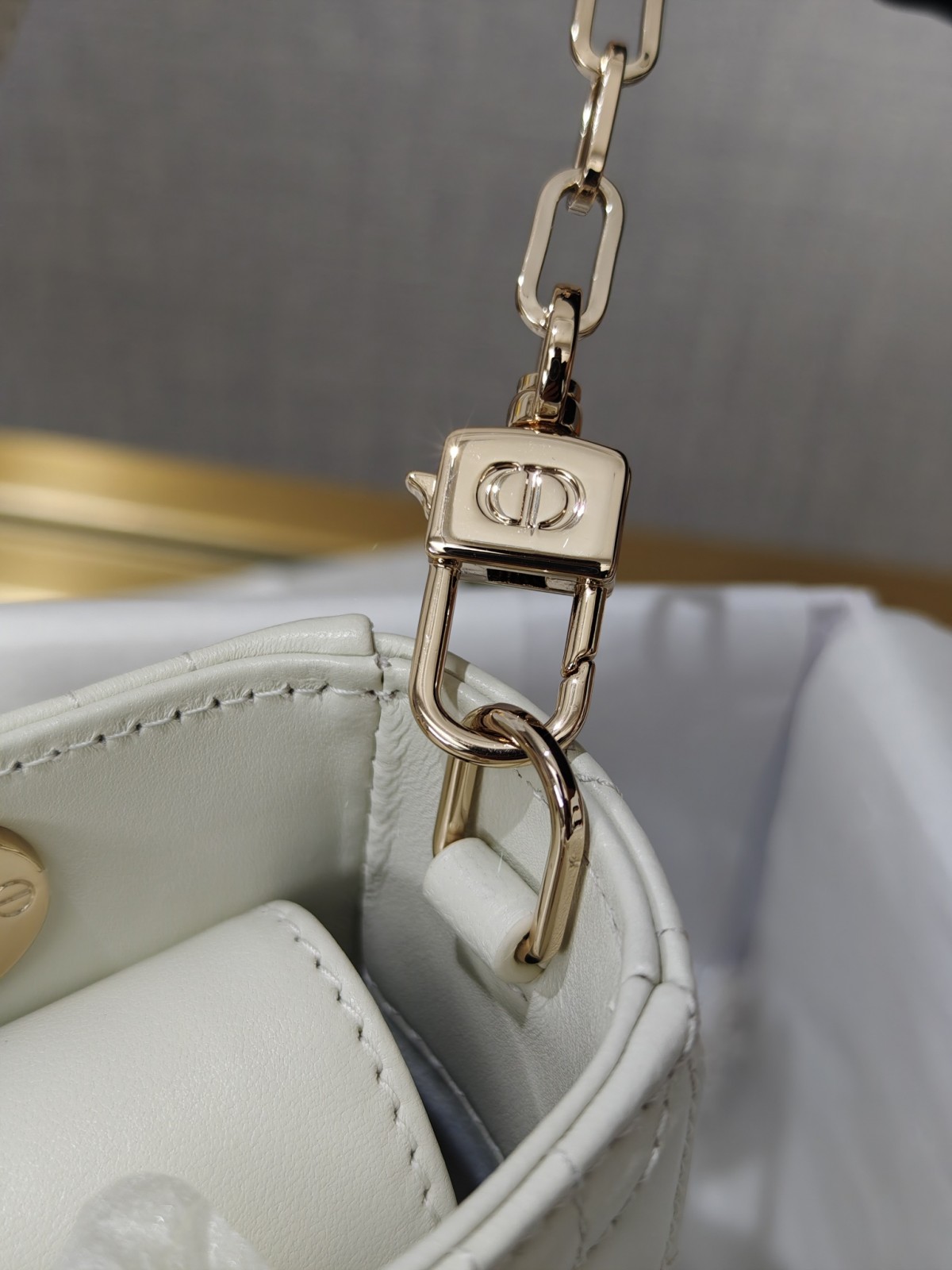 Shebag Lady Dior D joy bag full review（2024 Aug updated）-Online obchod s falošnou taškou Louis Vuitton najvyššej kvality, replika značkovej tašky ru