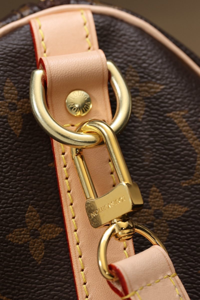 Shebag Louis Vuitton M41113 SPEEDY 25 full review (2024 Sep updated