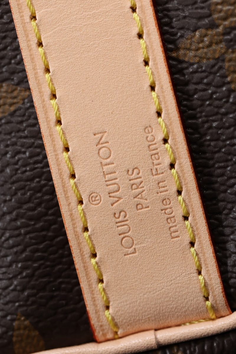 Shebag Louis Vuitton M41113 SPEEDY 25 full review (2024 Sep updated