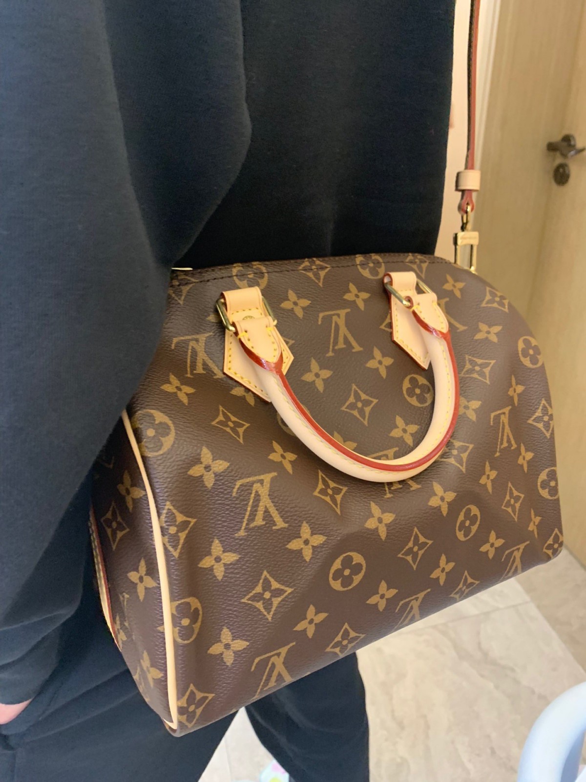 Shebag Louis Vuitton M41113 SPEEDY 25 full review (2024 Sep updated)-최고의 품질 가짜 루이비통 가방 온라인 스토어, 복제 디자이너 가방 ru