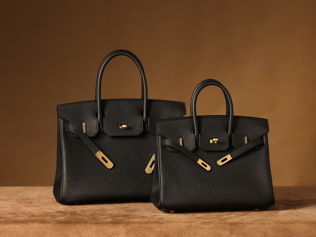 Shebag Hermes Birkin 25 VS Birkin 30 full review (2024 Oct updated)-Magazin online de geanți Louis Vuitton fals de cea mai bună calitate, geantă de designer replica ru