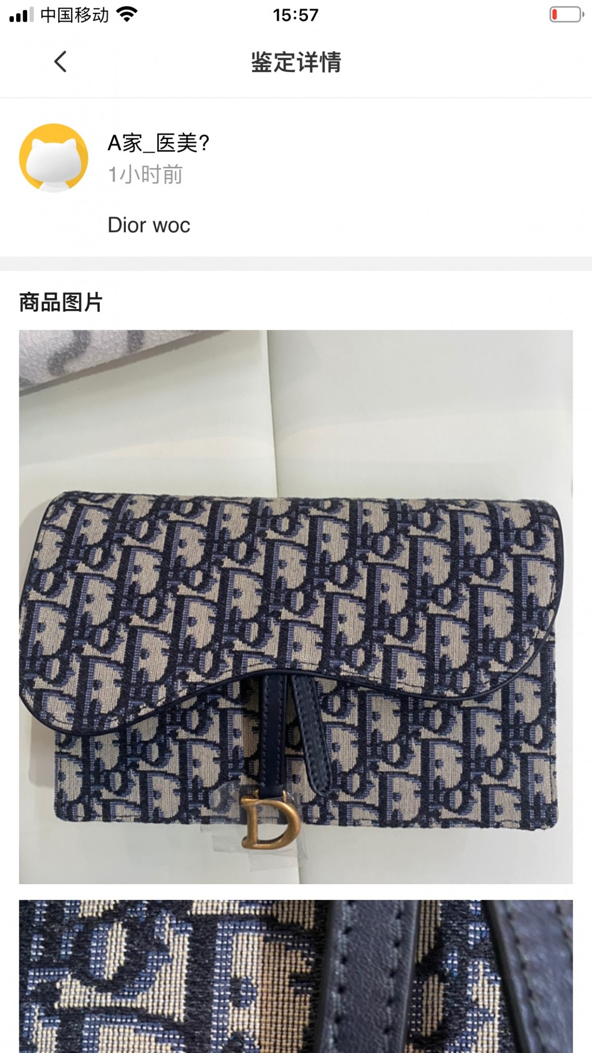 Shebag replica story, Part 1 Louis Vuitton and Dior bag customer feedback (2025 Mar updated)-Labākās kvalitātes viltotās Louis Vuitton somas tiešsaistes veikals, dizaineru somas kopija ru