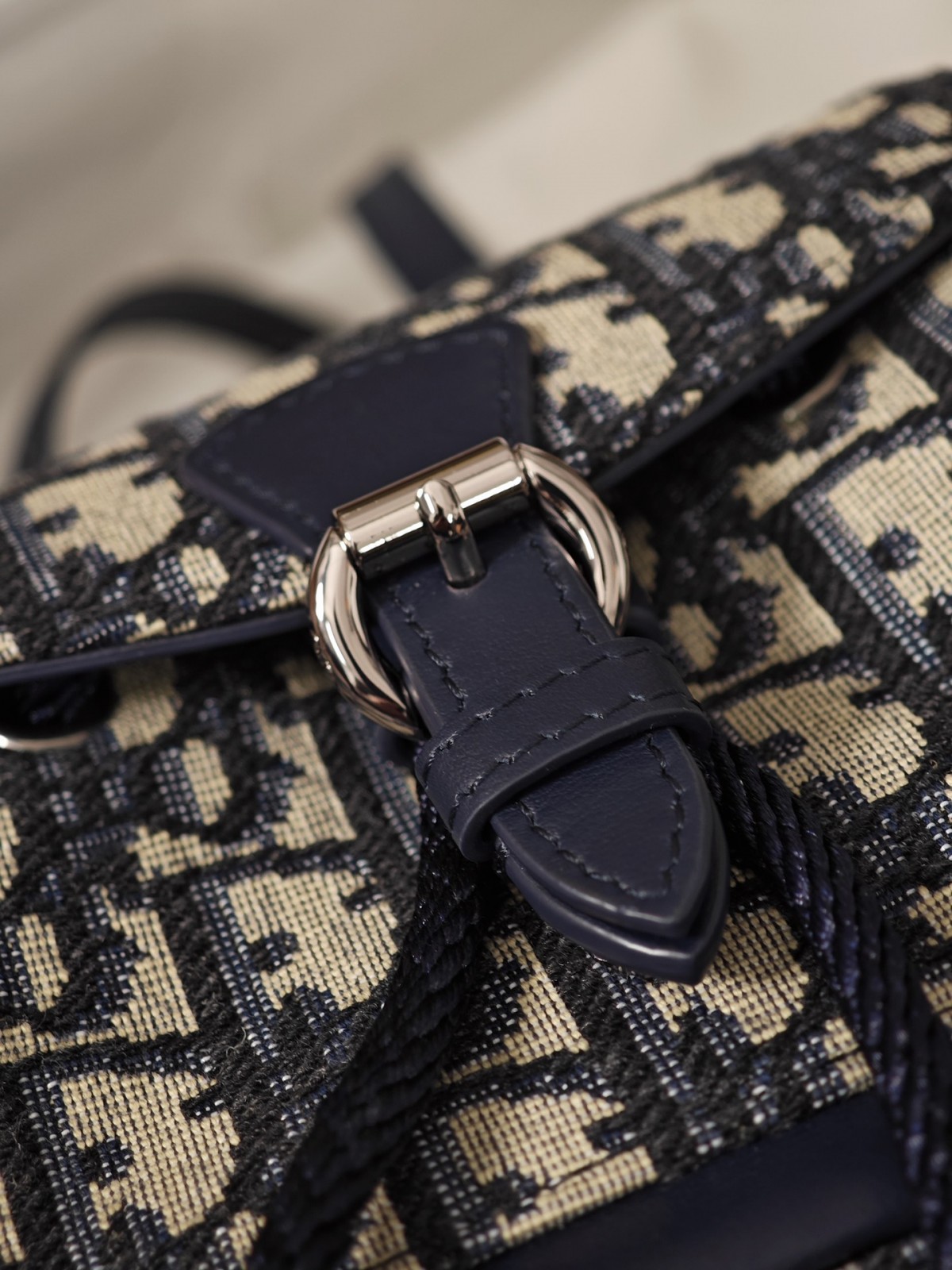 Shebag Dior backpack pack bag 2025 new style (2025 Mar udpated)-Magazin online de geanți Louis Vuitton fals de cea mai bună calitate, geantă de designer replica ru