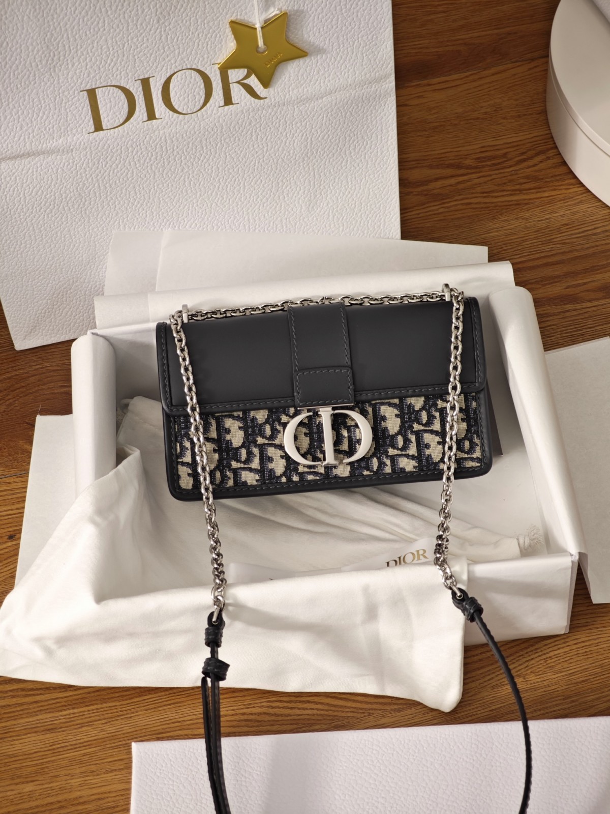 Shebag best replica 2025 new Dior Montaigne 30 bag review (2025 Mar updated)-Pangalusna kualitas palsu Louis Vuitton Kantong Toko Online, Replica desainer kantong ru