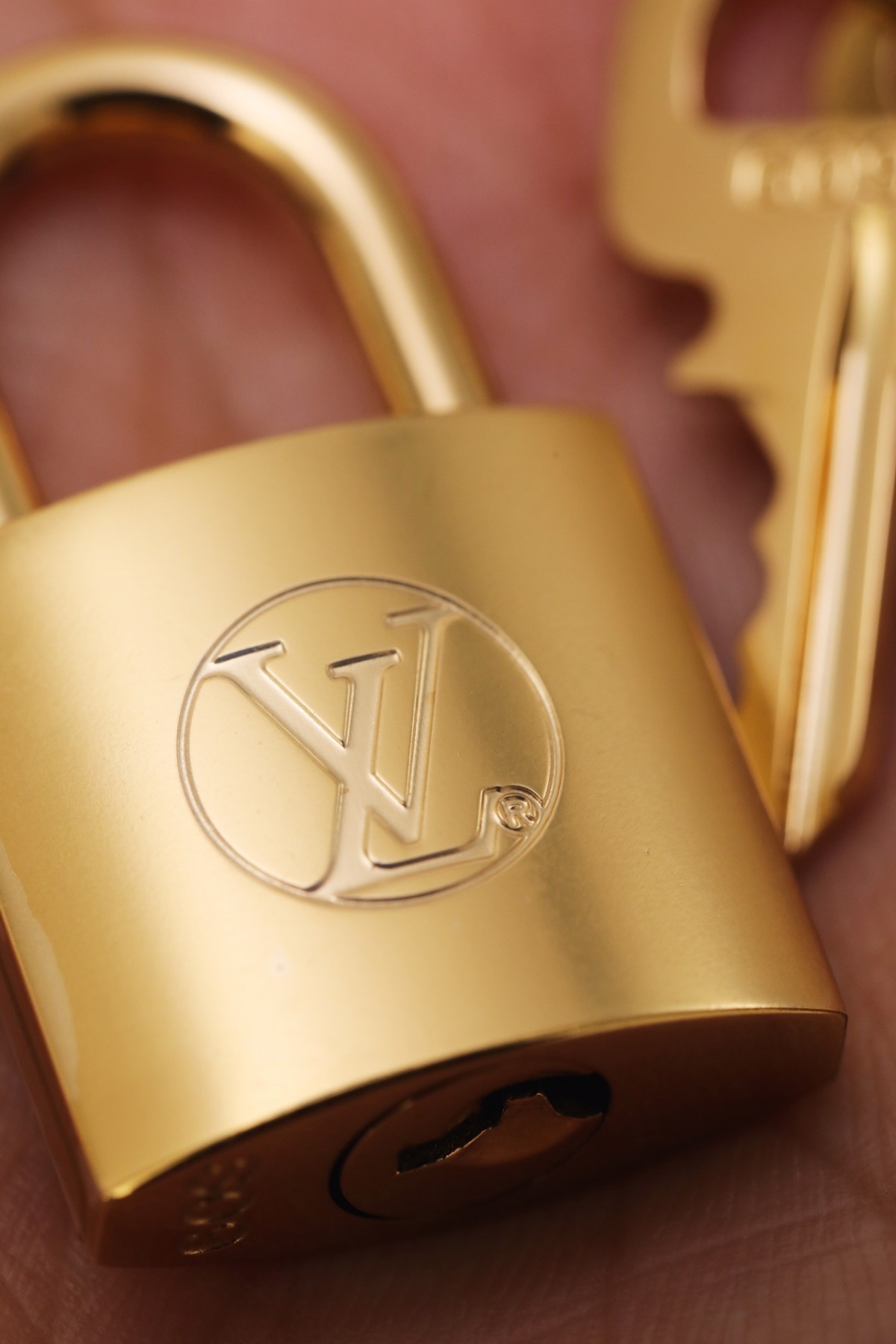 Shebag Super replica Louis Vuitton M45165 Vanity case bag review (2025 Apr updated)-Tayada ugu Fiican ee Louis Vuitton Boorsada Online Store, Bac naqshadeeye nuqul ah