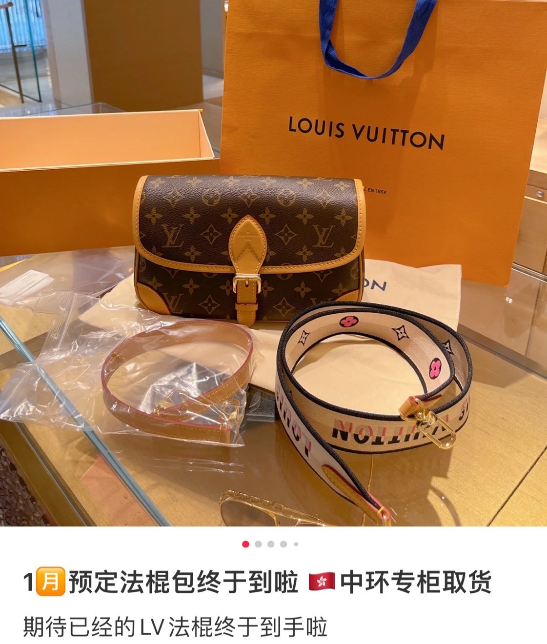 Super replica Louis Vuitton M45985 Diane bag review (2025 May updated)-Best Quality Fake Louis Vuitton Bag Online Store, Replica designer bag ru