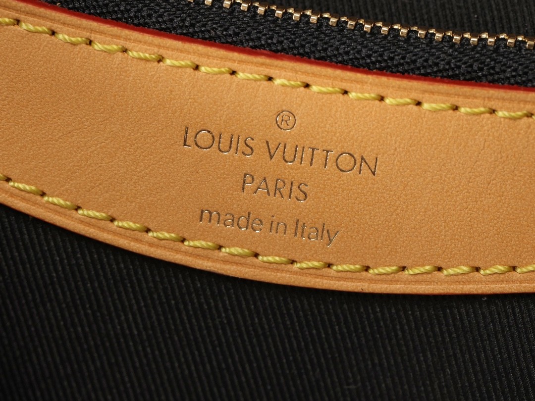 Super replica Louis Vuitton M45985 Diane bag review (2025 May updated)-Best Quality Fake Louis Vuitton Bag Online Store, Replica designer bag ru