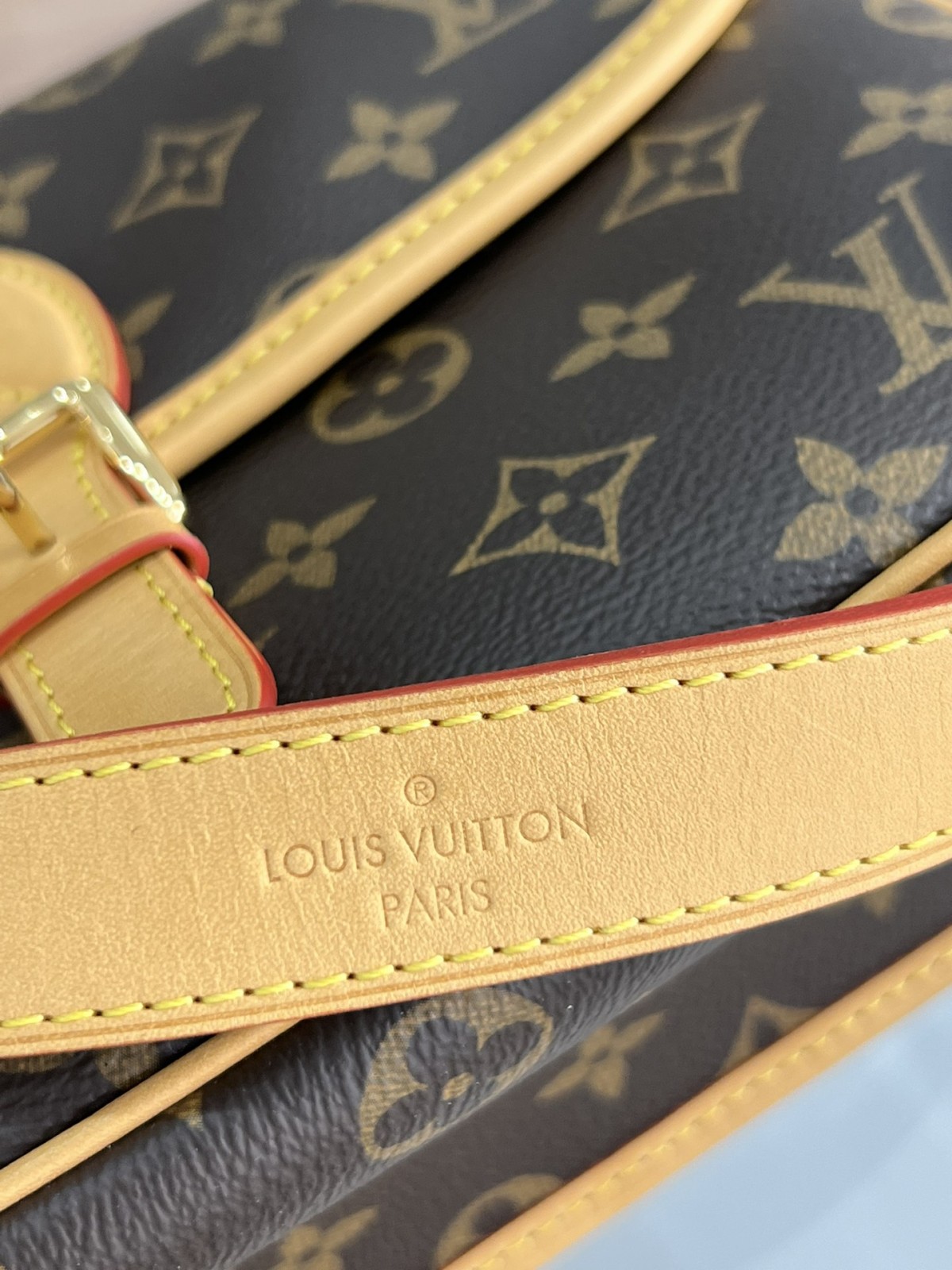 Super replica Louis Vuitton M45985 Diane bag review (2025 May updated)-Best Quality Fake Louis Vuitton Bag Online Store, Replica designer bag ru