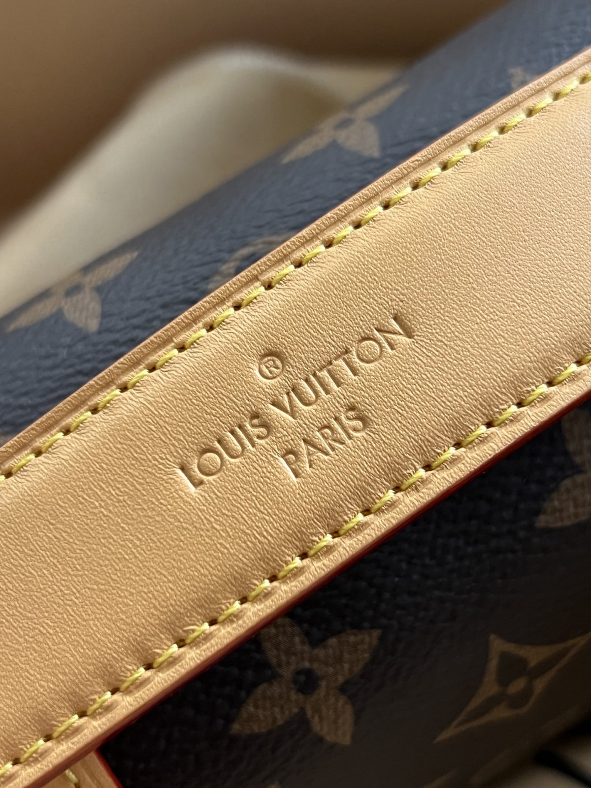 Shebag super replica Louis Vuitton M46815 SIDE TRUNK Small bag review(2025 May updated)-Tienda en línea de bolsos Louis Vuitton falsos de la mejor calidad, réplica de bolsos de diseño ru
