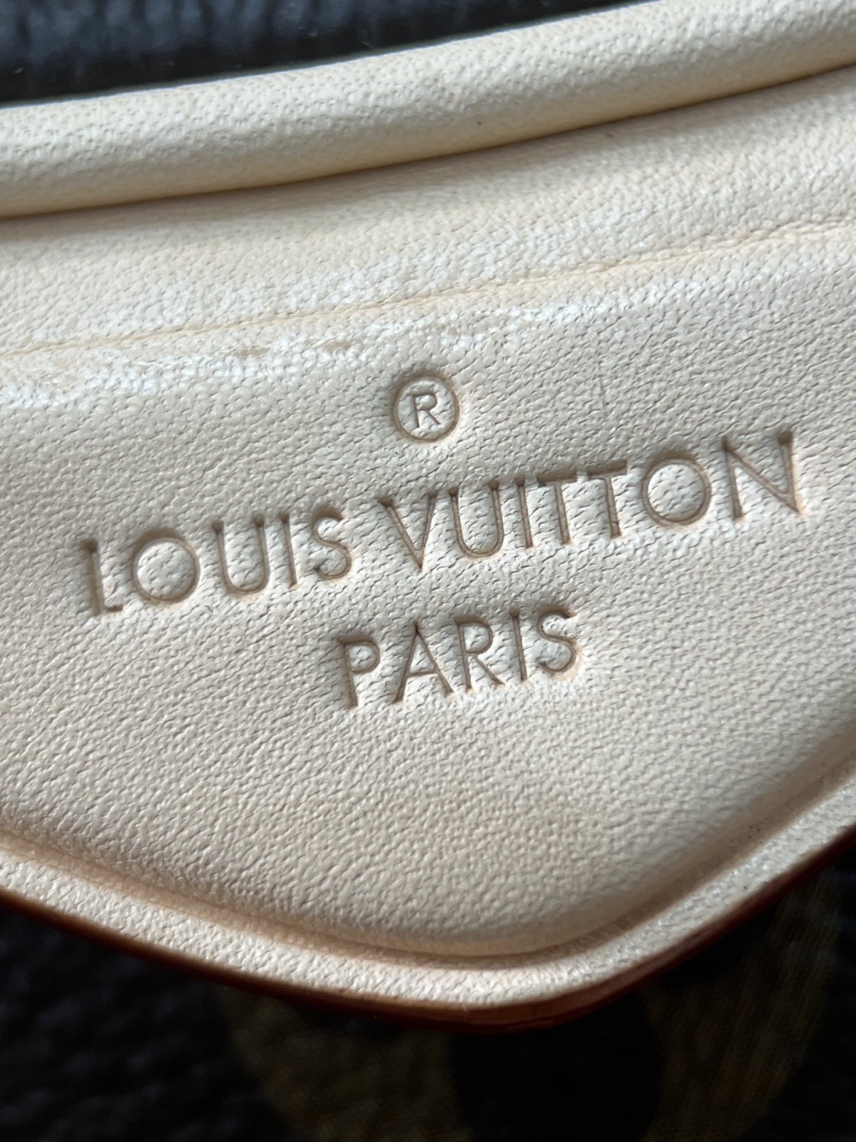 Shebag super replica Louis Vuitton M46828 CROISSANT Medium size bag review(2025 May updated)-ហាងអនឡាញកាបូប Louis Vuitton ក្លែងក្លាយដែលមានគុណភាពល្អបំផុត កាបូបអ្នករចនាម៉ូដចម្លង ru