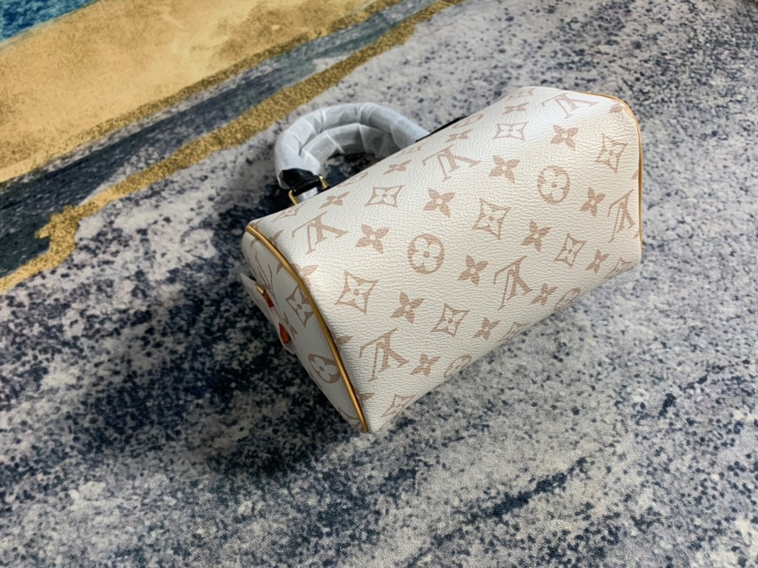 Shebag Super replica Louis Vuitton M46906 Speedy 20 bag review (2025 May updated)-Najlepsza jakość fałszywych torebek Louis Vuitton Sklep internetowy, projektant repliki torebki ru