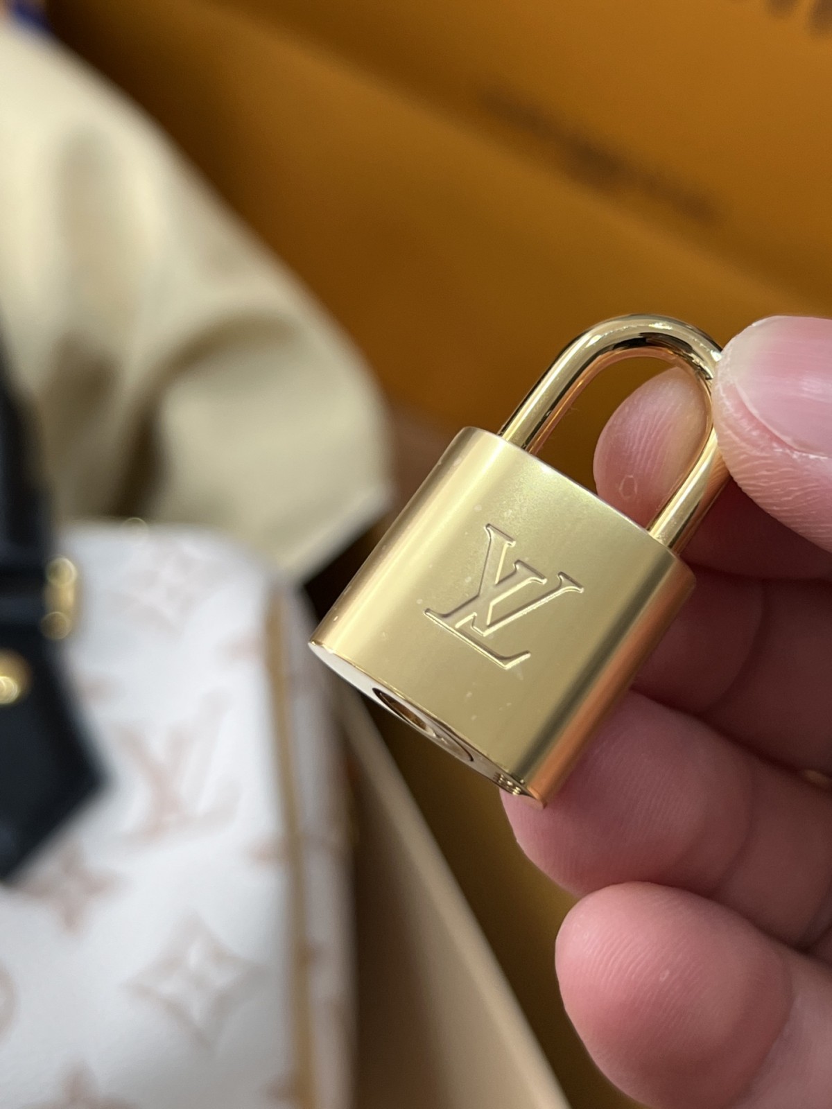 Shebag Super replica Louis Vuitton M46906 Speedy 20 bag review (2025 May updated)-Najlepsza jakość fałszywych torebek Louis Vuitton Sklep internetowy, projektant repliki torebki ru