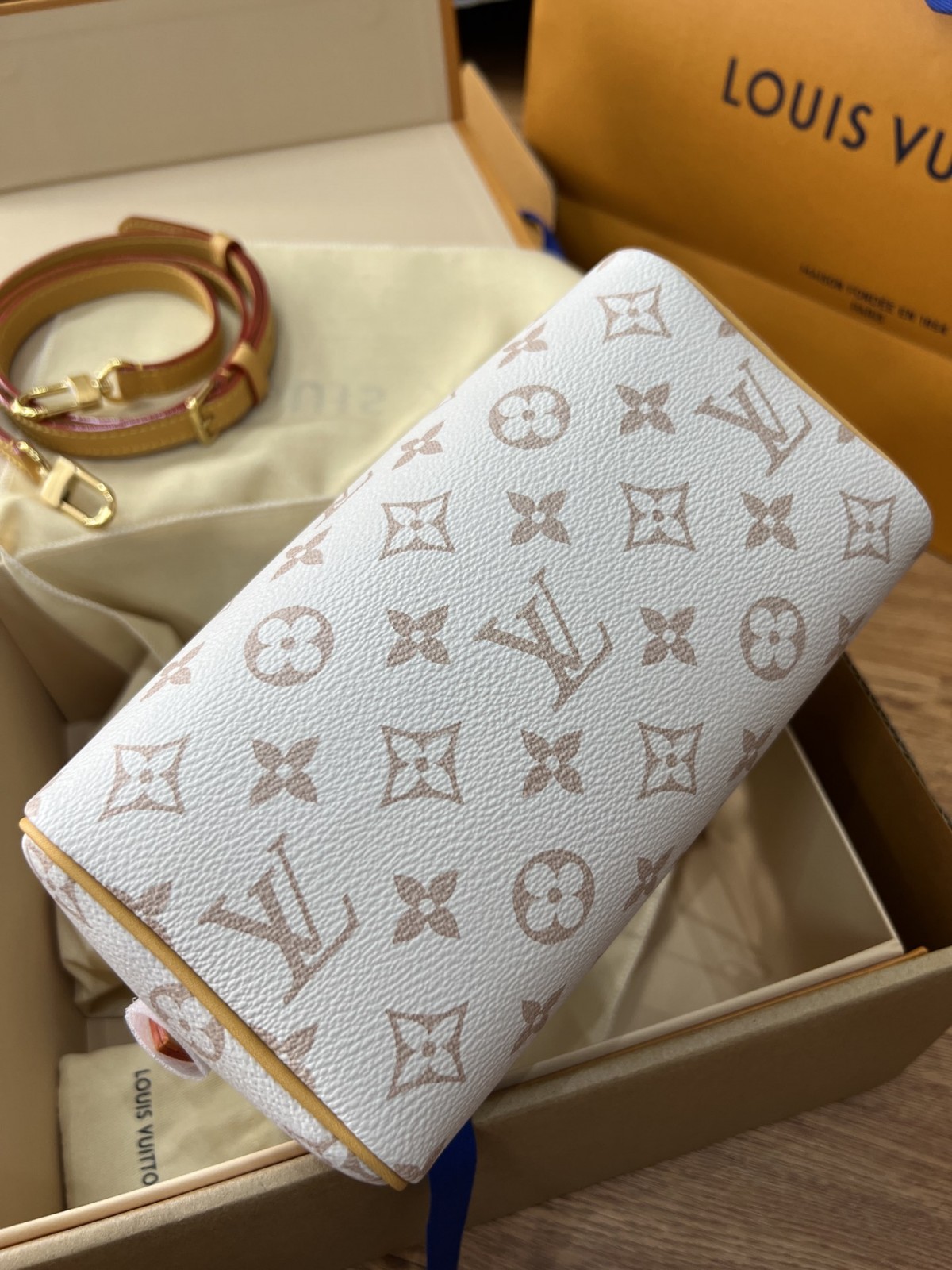 Shebag Super replica Louis Vuitton M46906 Speedy 20 bag review (2025 May updated)-Najlepsza jakość fałszywych torebek Louis Vuitton Sklep internetowy, projektant repliki torebki ru