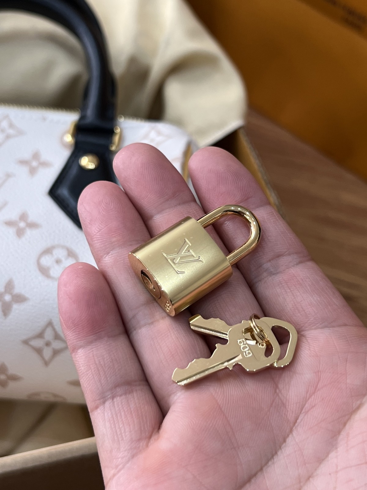 Shebag Super replica Louis Vuitton M46906 Speedy 20 bag review (2025 May updated)-Najlepsza jakość fałszywych torebek Louis Vuitton Sklep internetowy, projektant repliki torebki ru