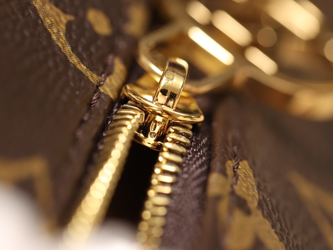 Shebag Super replica Louis Vuitton M81098 LOOP bag review (2025 June updated)-Best Quality Fake designer Bag Review, Replica designer bag ru