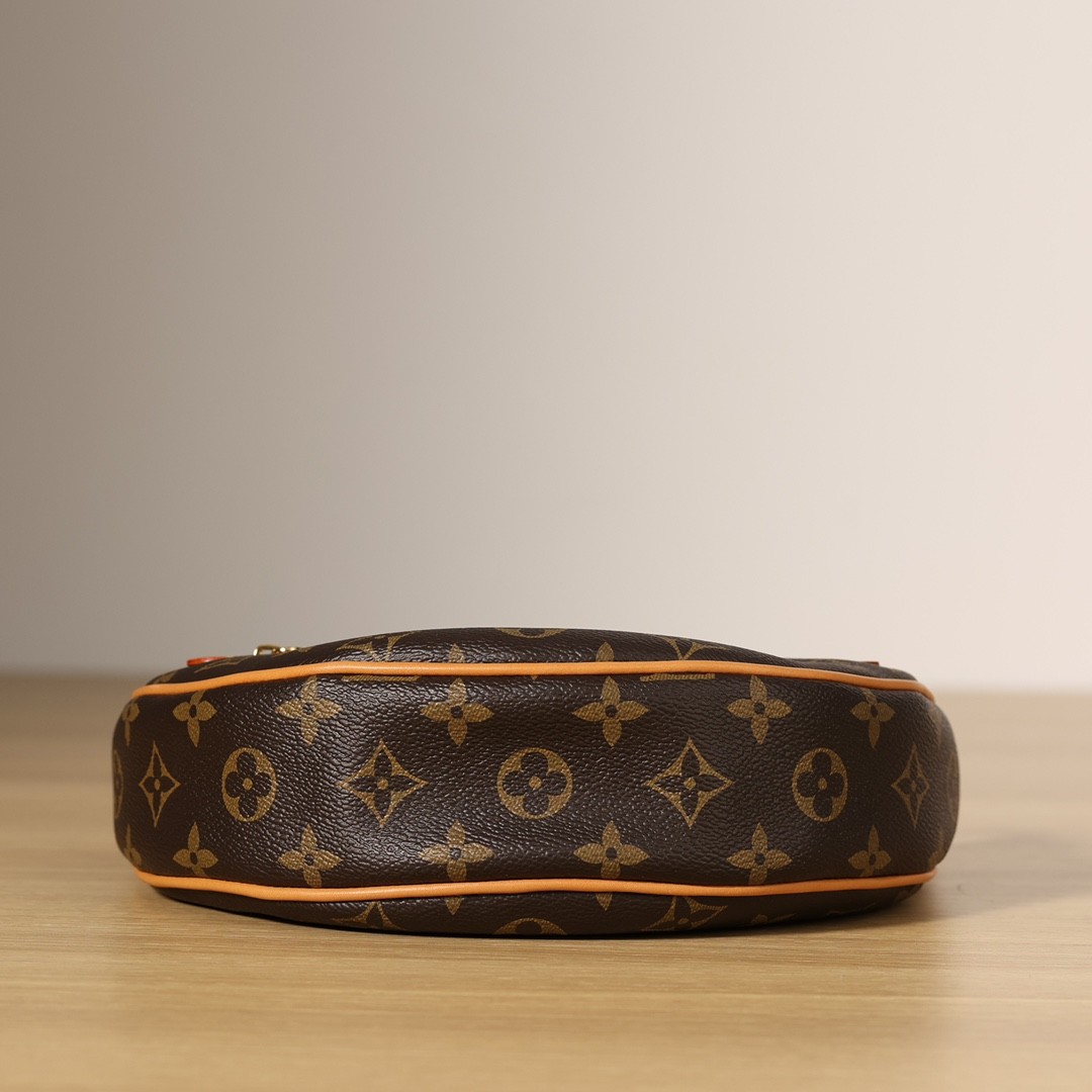 Shebag Super replica Louis Vuitton M81098 LOOP bag review (2025 June updated)-Best Quality Fake designer Bag Review, Replica designer bag ru
